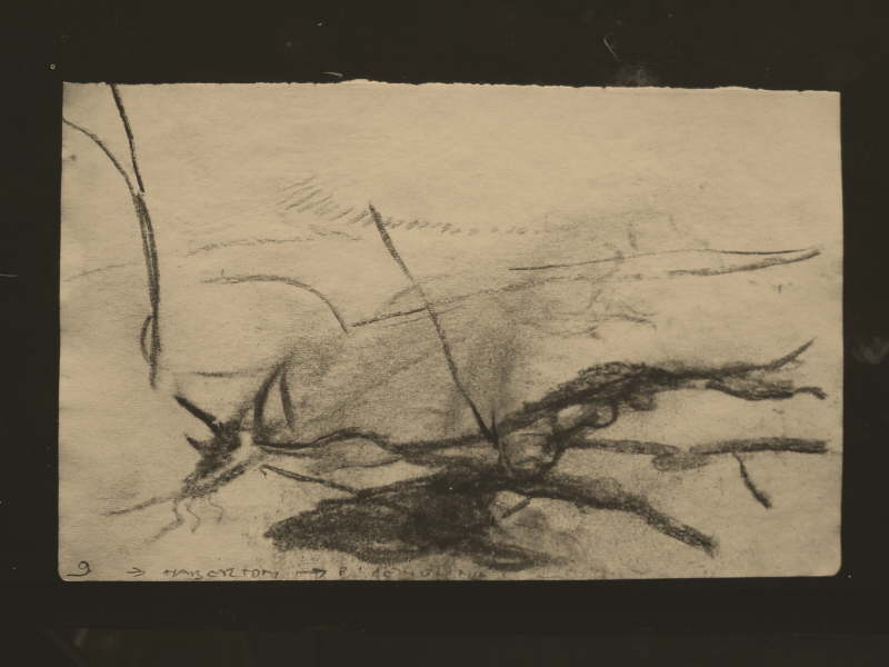 Tierra Del Fuego Carbon Drawing - 009