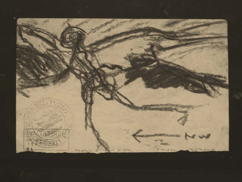 Tierra Del Fuego Carbon Drawing - 021