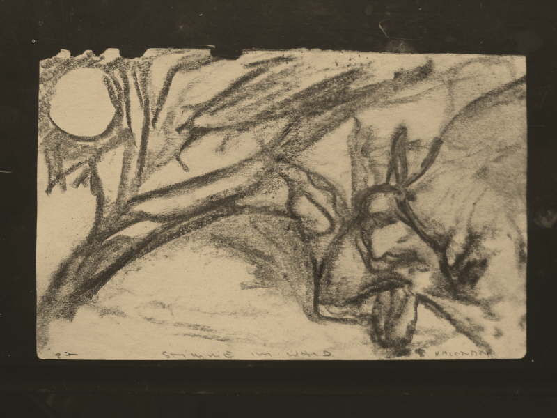 Tierra Del Fuego Carbon Drawing - 027