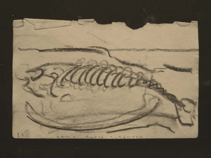 Tierra Del Fuego Carbon Drawing - 032